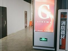 -金棕榈新百世纪影城