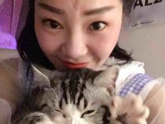 我和永远不想断奶的大王-Bastet sally猫舍购宠(静安店)