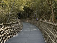 -福道