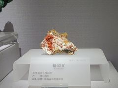 -湖南省地质博物馆