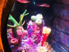 -沈阳海洋探索中心