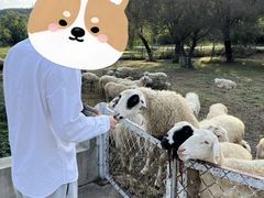 -大连铭湖国际观光牧场