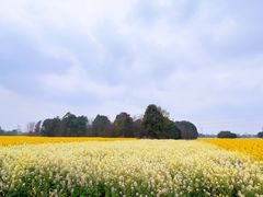 -中国天府农业博览园