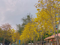 -洲头咀公园