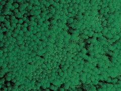 -成都南湖公园