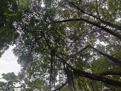 -晓港公园