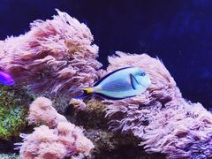 -暹罗海洋世界