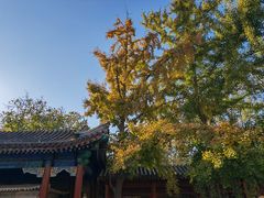 -北京石刻艺术博物馆(五塔寺)