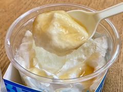 -Blueglass酸奶(财富购物中心店)