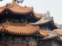 -北京艺术博物馆(万寿寺)