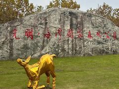 -上海海湾国家森林公园