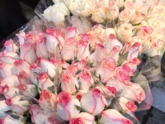 -循礼门鲜花花市(武汉循礼门店)