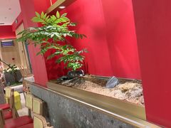 -湘江红·湖南招牌菜(莲花南路店)