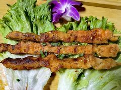 -山野的朋友露营炭火烤肉