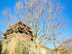-故宫博物院(故宫)