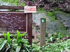 -缙云山景区