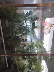 -爱瑞馨母婴护理中心(爱悠悠店)