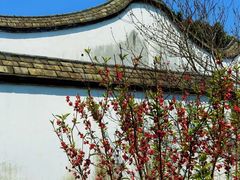 -乌山风景区