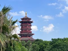 -厦门园林博览苑