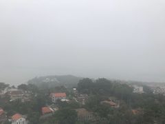 -八婆婆烧仙草(曾厝垵店)