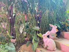 -正佳雨林生态植物园