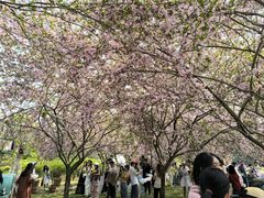 -三圣花乡旅游区