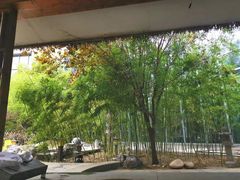 -中家鑫园温泉酒店鑫悦汤泉