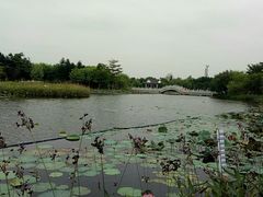 -映月湖公园