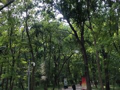 -廊坊市自然公园