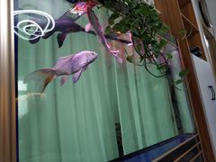 -妙艺足道水疗SPA(振华国际店)