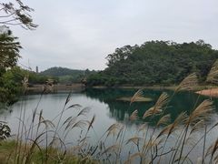 -大雁山风景区