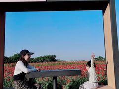 -江苏三台山国家森林公园