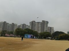 -新江湾城公园