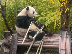 -青藏高原野生动物园