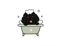 -翊宠yipet猫狗购宠庄园犬舍•猫舍