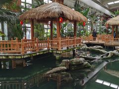 -南宫五洲植物乐园