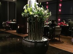 -梧桐餐厅(泉城路店)