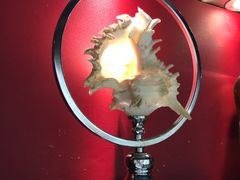 -宝岛甲壳虫KTV(蓝天路店)