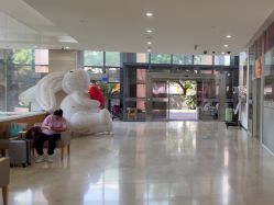 -上海美华妇儿医院