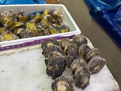 -胶东海鲜大排档(北太平庄店)