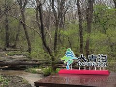 -大青沟风景区