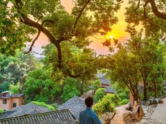 -杨家堂村