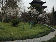 -堤角公园