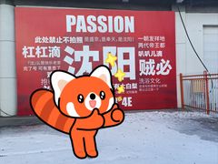 -沈阳奥体冰雪嘉年华
