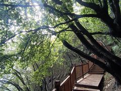 -终南山南五台景区