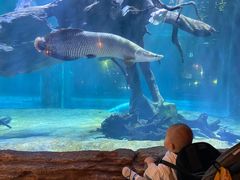 -华夏文旅海洋公园