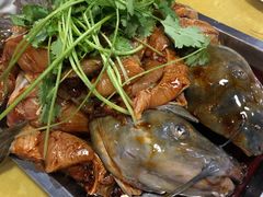 -秦巴石锅鱼(文化南路店)