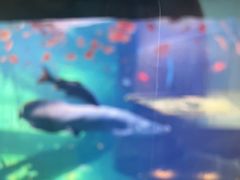 -华夏文旅西安度假区