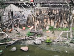 -上海野生动物园