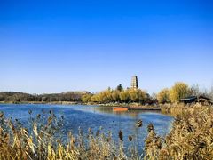 -溱湖国家湿地公园